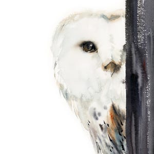 Barn Owl Fine Art Print, White Owl Watercolor Painting, Barn Owl Woodland Wall Decor