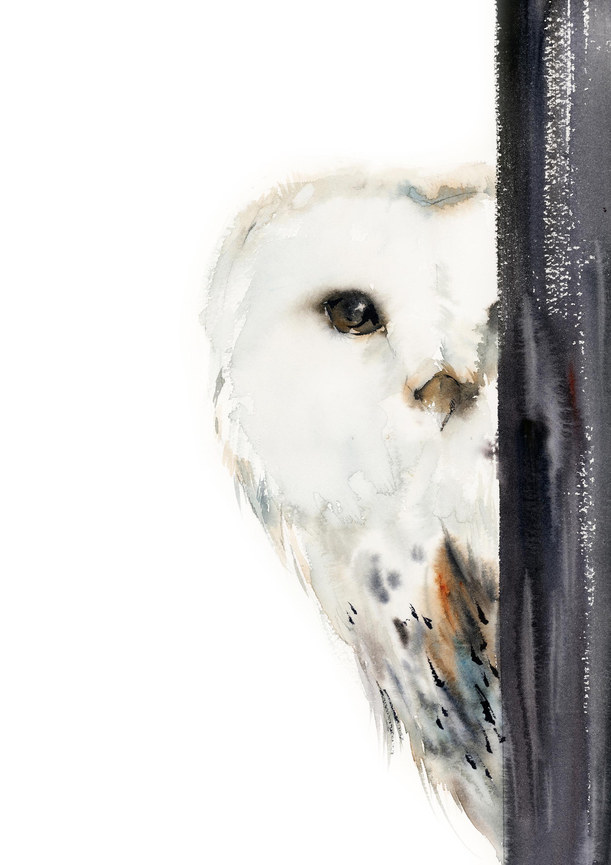 Barn Owl Fine Art Print, White Owl Watercolor Painting, Barn Owl Woodland Wall Decor