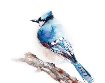 ブルージェイの水彩画アートプリント - 鳴鳥の絵画 - Etsy 日本