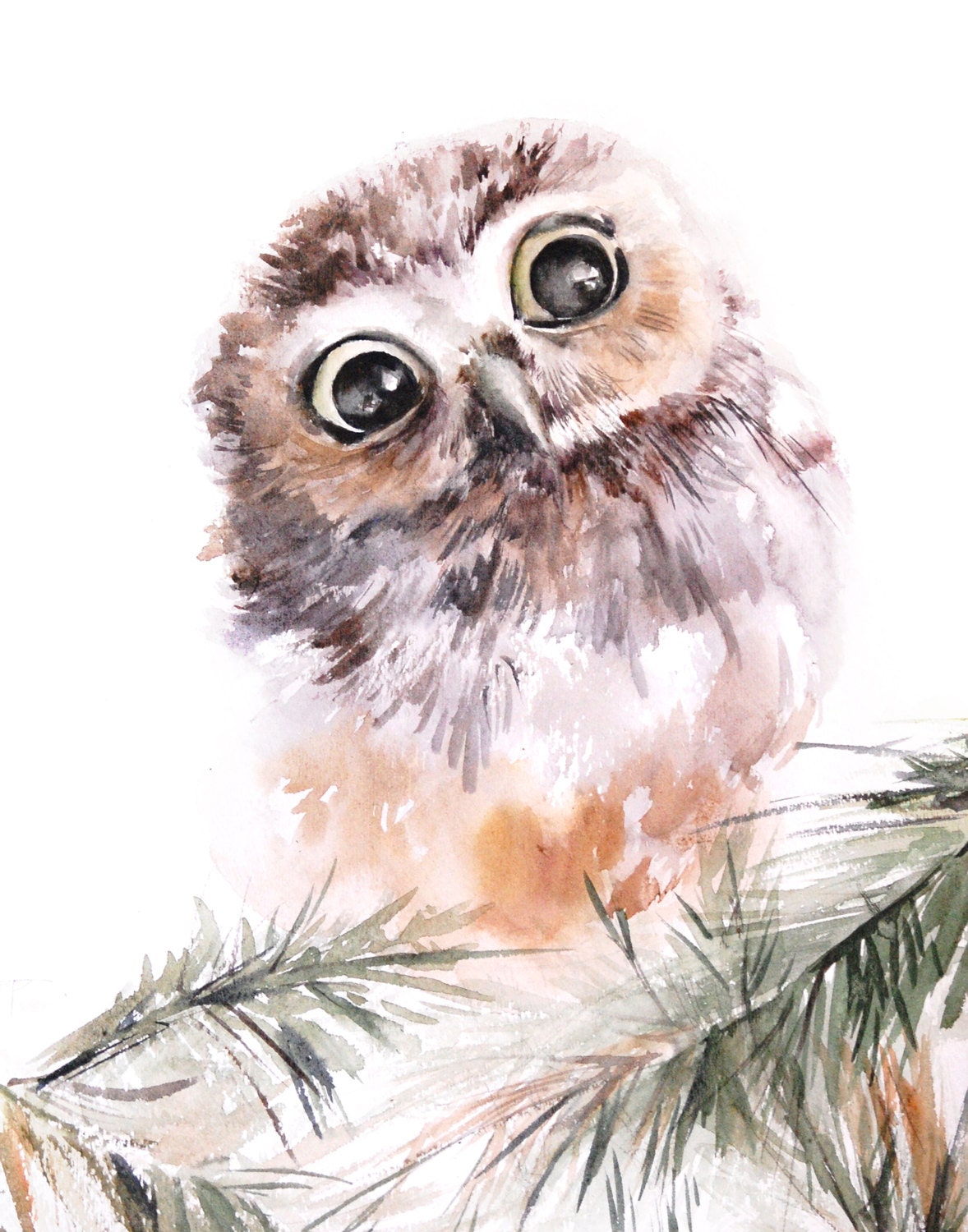 Eule Eulen-Druck mit großen Augen Aquarell Druck Wald Wand | Etsy