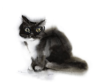 Stampa artistica di un simpatico gatto nero e soffice - Acquerello di un gatto in bianco e nero, decorazione da parete per amanti dei gatti