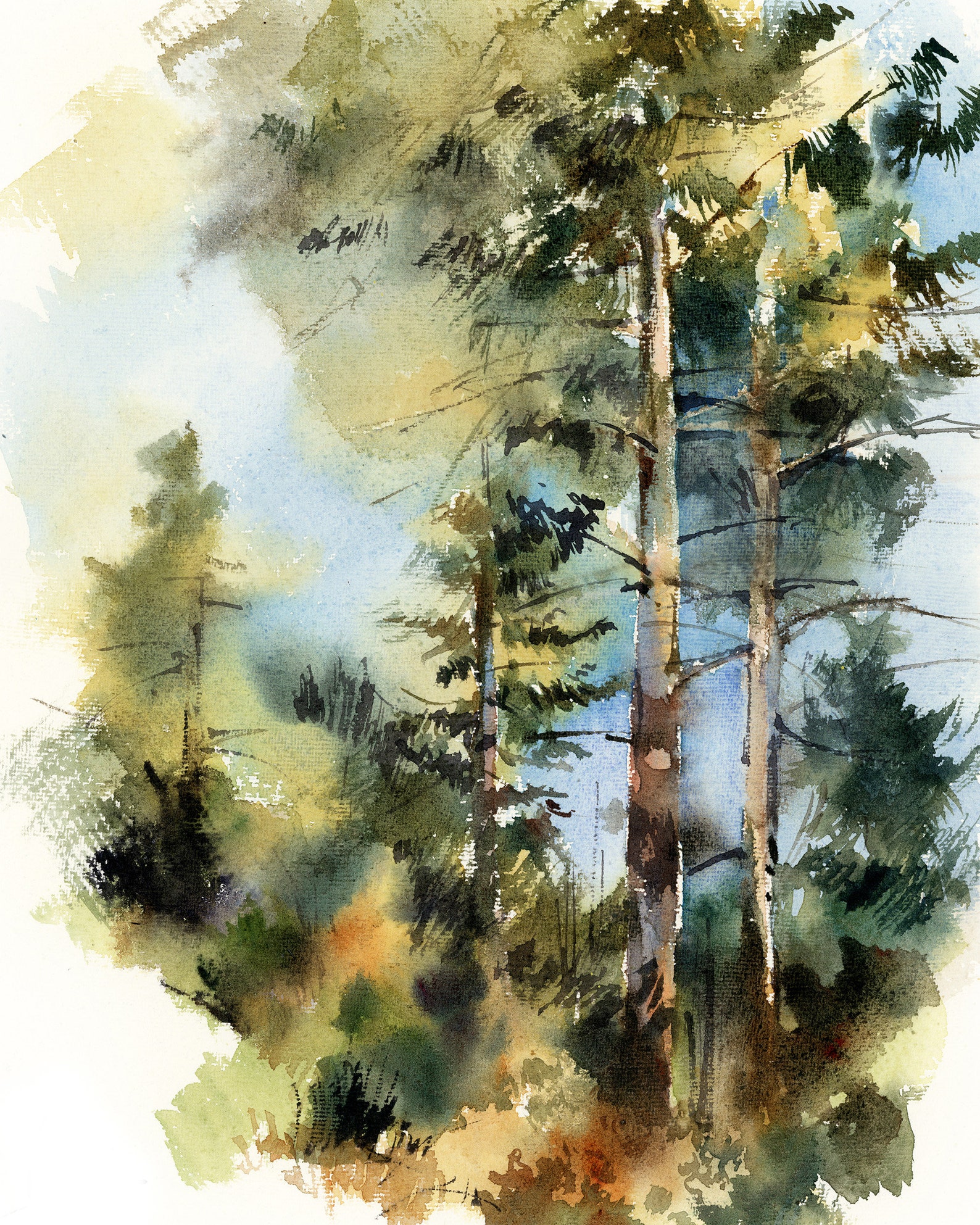 Forest Pine Trees Watercolor Painting Art Print Blue Sky | Etsy