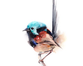 Fairy Wren Bird Wall Art Decor, Wren Painting,  Bird Fine Art Print, Bird Watercolor Art, Bird Wall Art, Nursery Wall Decor, Giclee Print