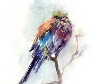 Lilac Breasted Roller Bird Fine Art Print, Tropical Bird Decor, Colorful Bird Wall Art, Bird Watercolor Painting, Exotic Bird Illustration