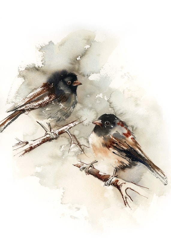 Dark-eyed Junco Bird Fine Art Print, North American Bird Watercolor Painting, Woodland Wall Decor, Earthy Colors Bird Wall Art Print