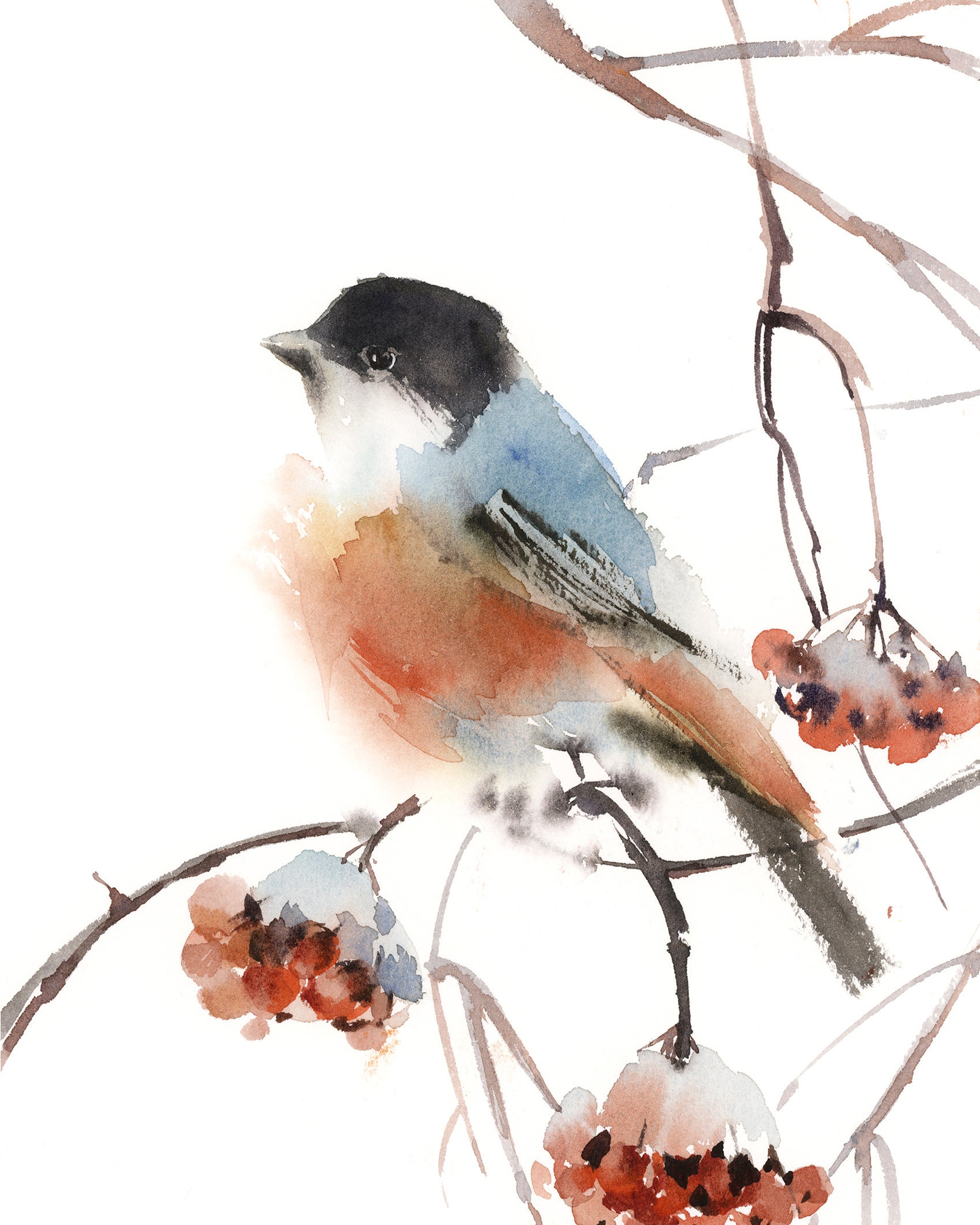Bullfinch Bird Painting Fine Art Print Bird Watercolor Print | Etsy