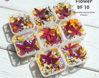Mezcla de flores secas naturales para arte con resina / Flores 3D reales / Materiales para manualidades DIY / DF 10