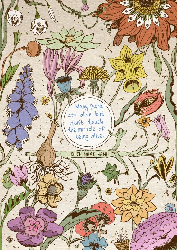 Download Thich nhat hanh zitate For Android Free