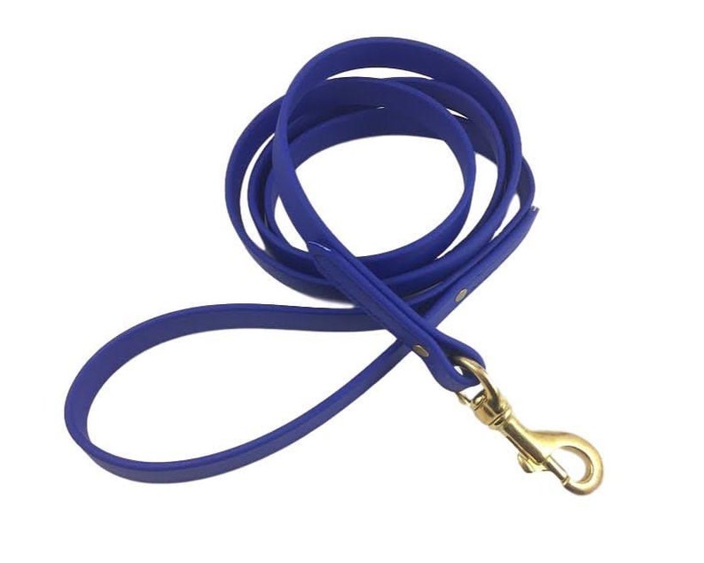 Biothane Beta Super Heavy Dog Leash 5/8 Etsy