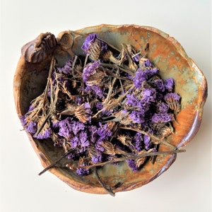 Natural dried forget me not//Soothing tea helps restful sleep//Boost hair and skin health//Vibrant blue shade herb//Wedding confetti