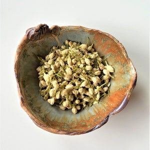Botões de jasmim secos naturais // Flor relaxante e calmante // Estimula o sistema imunológico // Chá de jasmim com aroma perfeito