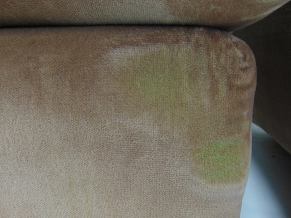 Milo store velvet glider