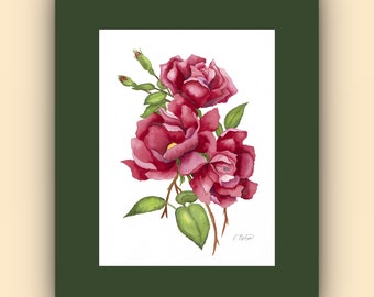 Red Rose Watercolor Print 11X14 Matted