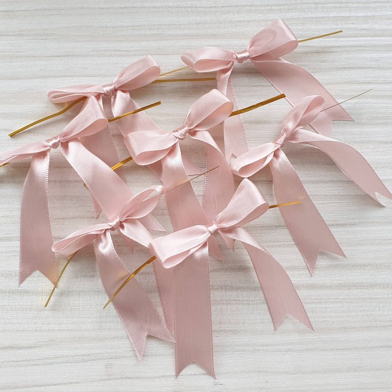 Champagne Raw Satin Bows - Pack of 6 main image 0