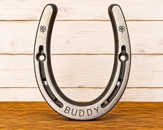 Wedding-Anniversary-Housewarming-Equestrian-Retirement-Personalized Gift-Farmhouse-Horse-Rustic-Western Decor-Gift-Good Luck Horseshoe,