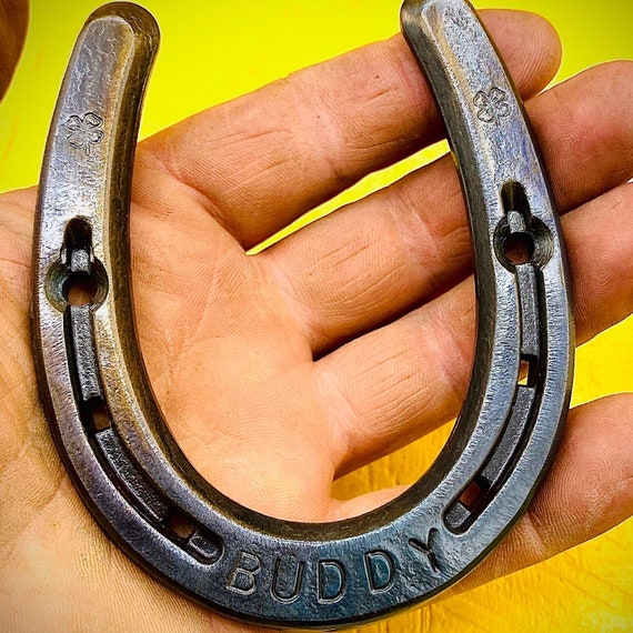 Cast Iron Lucky Horseshoe Sign Good Luck Charm Western Farm/Barn/Farmhouse Decor Cast Iron Lucky Horseshoe Sign Good Luck Charm Western Farm/Barn/Farmhouse Decor