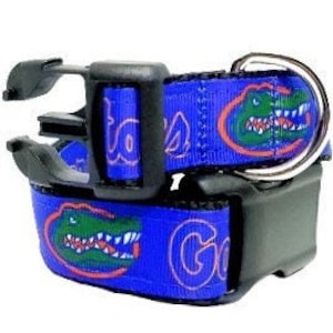 Florida gators dog harness hotsell
