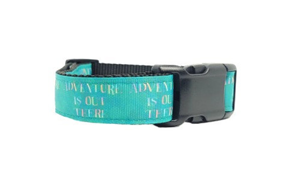 Disney Up Dog Collar UP Dog Collar Adventure is Out There Etsy