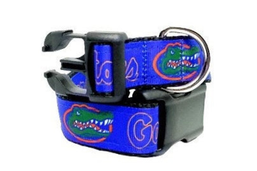 Florida Gators Dog Collar, Gators Dog Collar, Collegiate Football
