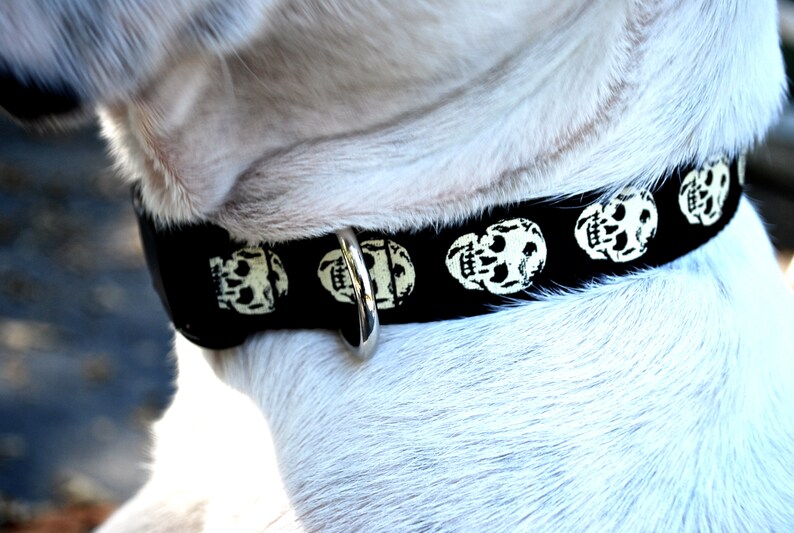 HalloweenKragen für große Hunde Schädel Hundehalsband Tod Etsy
