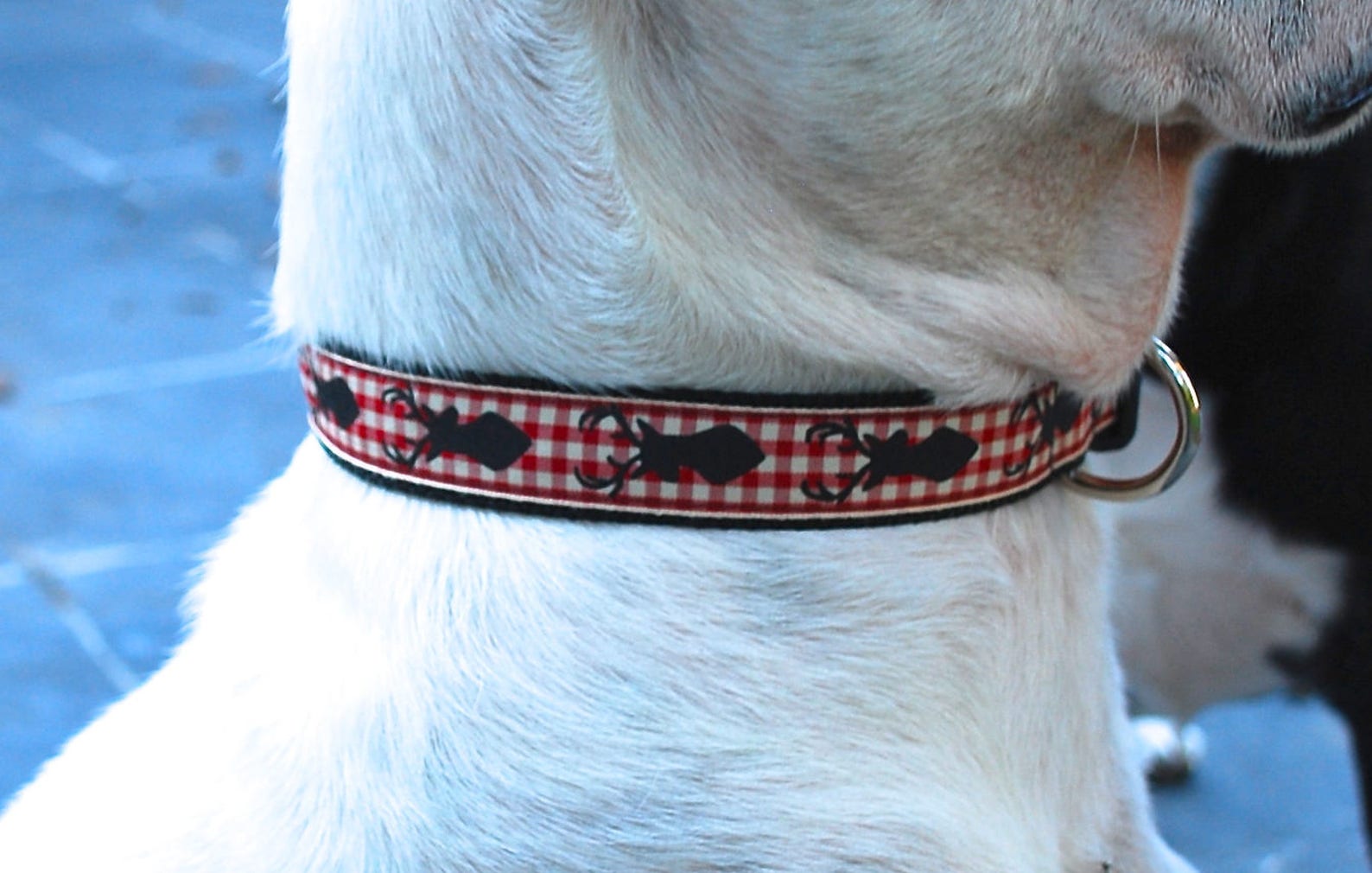 Plaid Holiday Dog Collar Christmas Dog Collar Reindeer Dog Etsy
