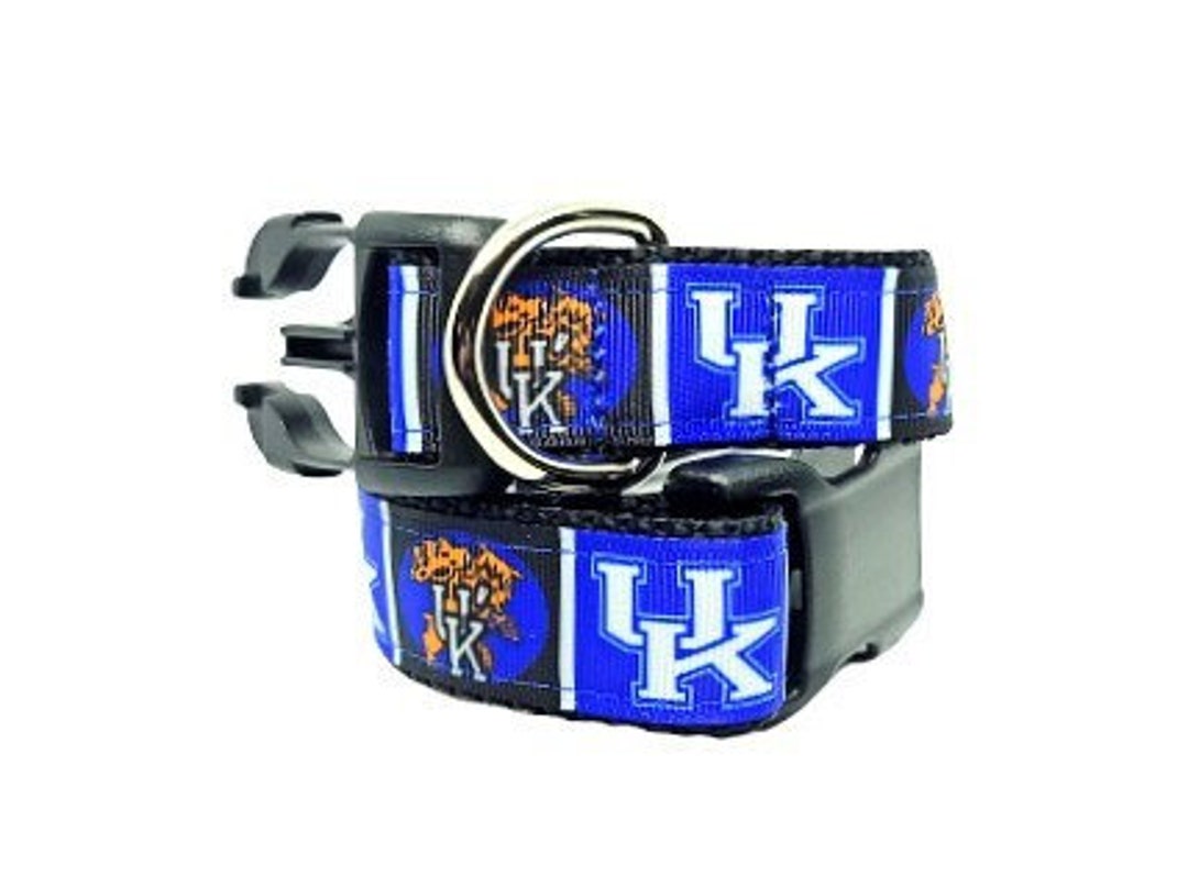 University of Kentucky Dog Collar, Kentucky Wildcats Dog Collar, NCAA Football Dog Collar, Dog