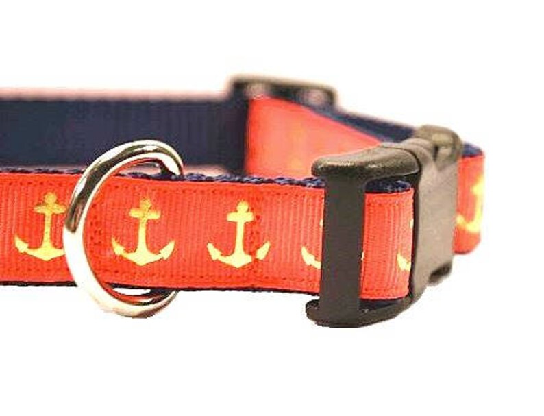 nautical dog collar