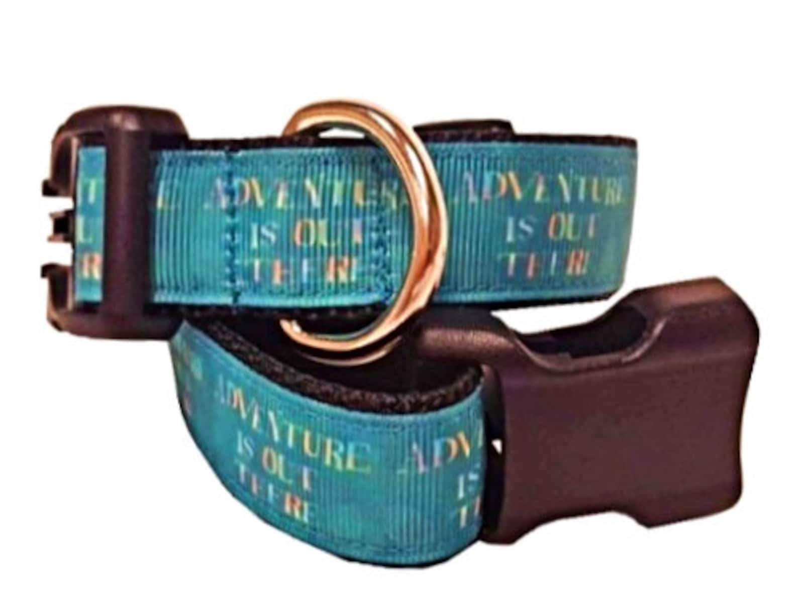 Disney Up Dog Collar UP Dog Collar Adventure is Out There Etsy