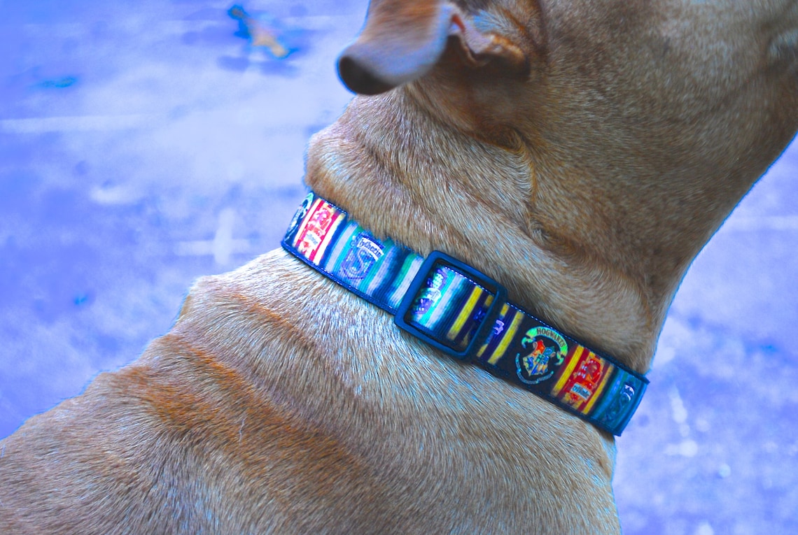 Wizarding Dog Collar Wizard House Dog Collar Magic Dog Etsy