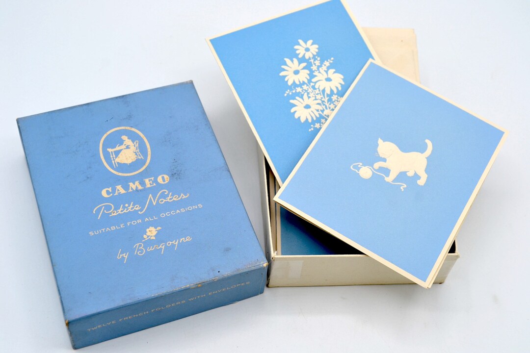 Vintage Stationery Note Card Box Set Blue and White Cameo Silhouettes 6
