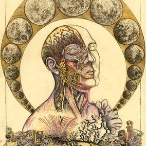 May include: A detailed anatomical illustration of a human head and neck, with a skeletal structure and muscle system visible. The head is surrounded by a ring of moons, and a body lies beneath the head, surrounded by debris.