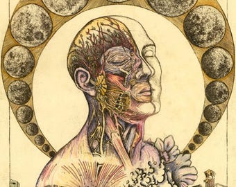 Puede incluir: Una ilustración anatómica detallada de una cabeza y cuello humanos, con una estructura esquelética y un sistema muscular visibles. La cabeza está rodeada por un anillo de lunas, y un cuerpo yace debajo de la cabeza, rodeado de escombros.