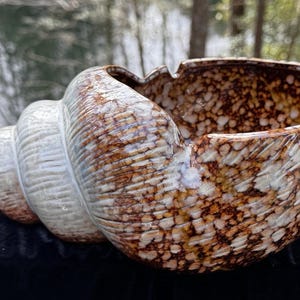 May include: A ceramic seashell-shaped bowl with a speckled brown and white exterior. The bowl has a wide opening and a spiraled, textured design. The colors are earthy and natural, suitable for coastal decor.