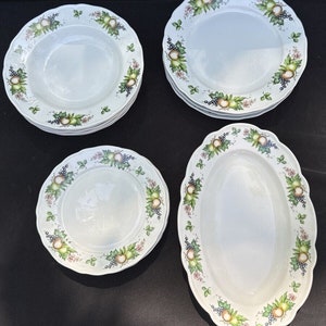 Vintage Tirschenreuth Bavaria China Obstplatte Schalen Abendessen Salatteller