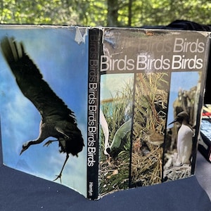 May include: A vintage hardcover book titled "Birds Birds Birds" with a black and white photo of a bird on the cover. The book is open to a page with multiple color photos of birds.