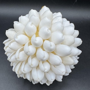 Puede incluir: Un juego de tres cuencos de cerámica anidados en tamaños graduados. Los cuencos son blancos con un acabado moteado y texturizado y presentan un borde ligeramente ensanchado. El cuenco más grande mide aproximadamente 20 cm de diámetro.