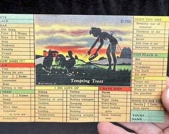 1950’s Comic Check items Postcards CT Busy Persons Comics Colortone Mint! -A92
