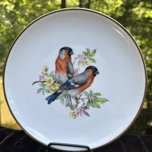 Vintage CM Germany Hutschenreuther Bone China Birds Plate -S37