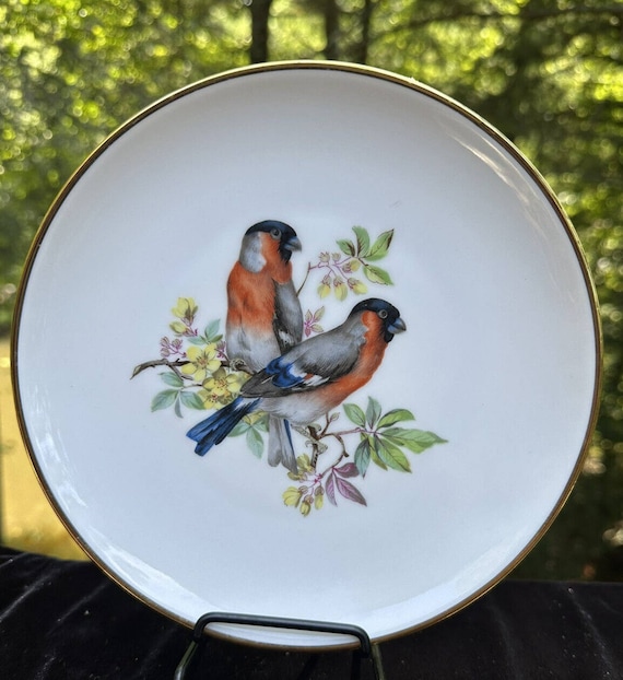 Vintage CM Germany Hutschenreuther Bone China Birds Plate -S37