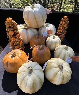 Decorazione Autunnale Con Zucche Artificiali – Set Di Ornamenti Per Halloween E Ringraziamento, Fatto A Mano