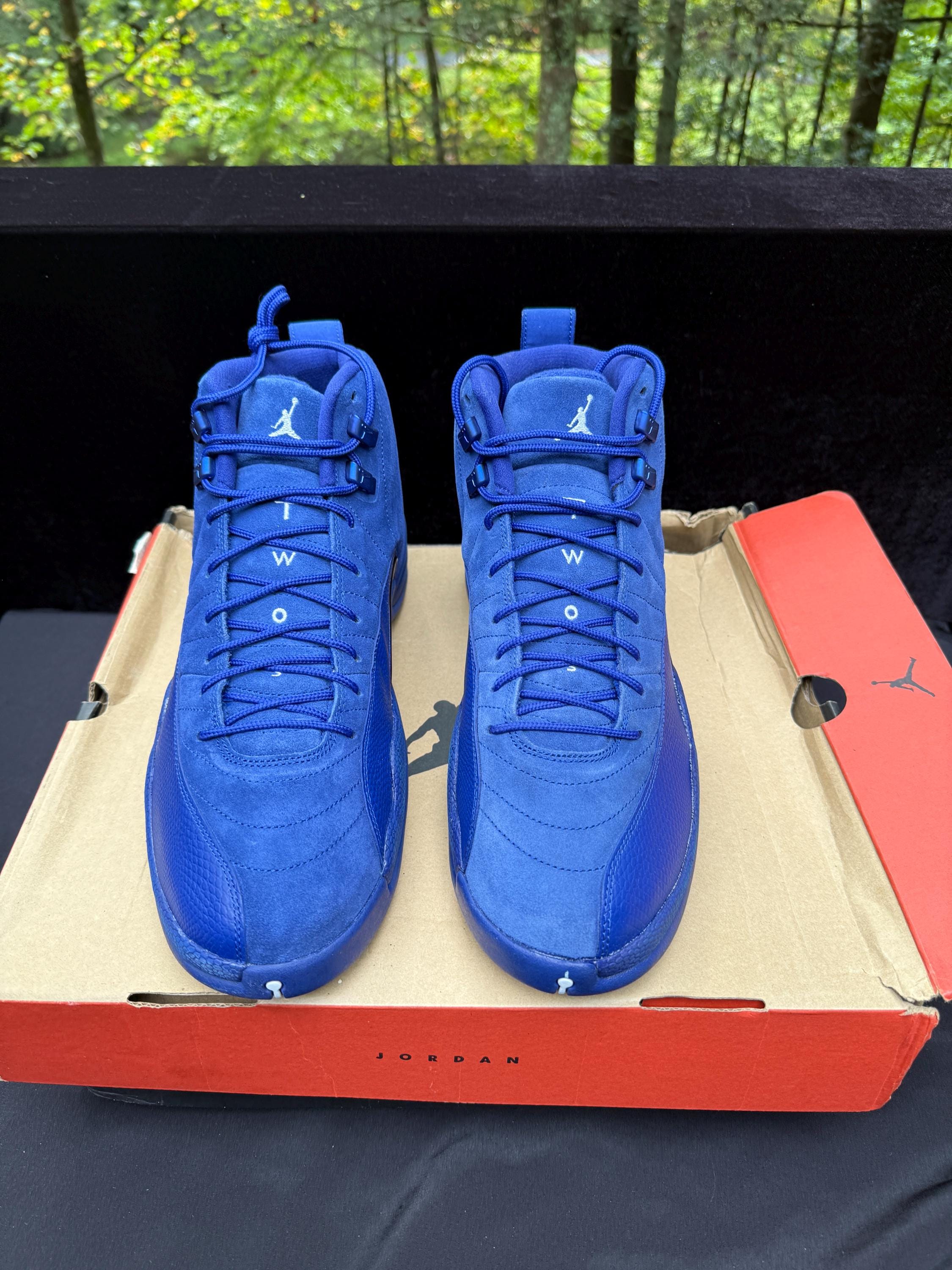 Jordan 12 Royal Blue