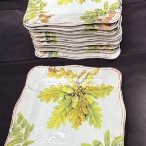 10 Sur La Table Acorn & Fig 9.5" Salad Plates made in Italy Fall Theme Mint! image 14