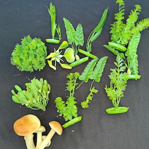 May include: An assortment of artificial greenery and mushrooms on a black surface. The collection includes various shades of green foliage, such as ferns, sprigs, and a cluster of round leaves. Several mushrooms with tan caps and white stems are also present.