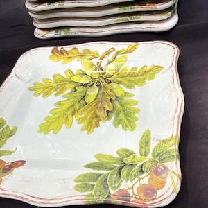 10 Sur La Table Acorn & Fig 9.5" Salad Plates made in Italy Fall Theme Mint! image 13