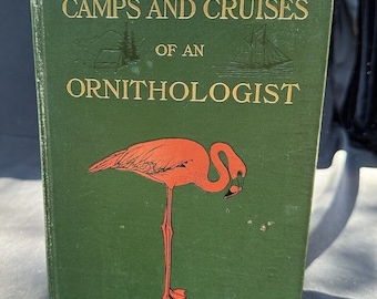 1908 Antik Illus. Naturbuch Camps & Kreuzfahrten eines Ornithologen Vögel 1st Ed