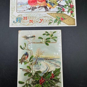 2 cartoline postali per le vacanze di Natale vittoriane del 1900 Colore INCREDIBILE! Germania Uccelli