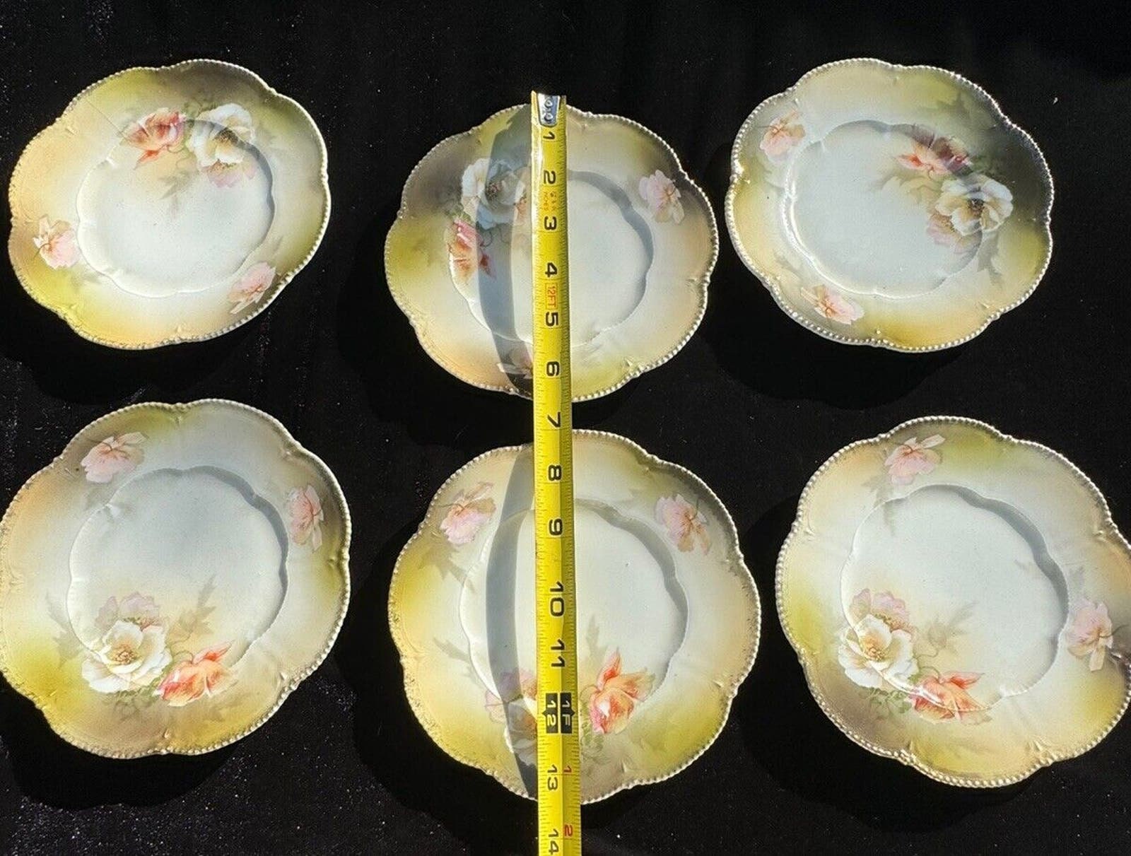 6 枚のゴージャスなアンティーク 1911 年ドイツ手描きグリーン ローズ