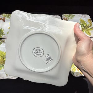 10 Sur La Table Acorn & Fig 9.5" Salad Plates made in Italy Fall Theme Mint! image 19