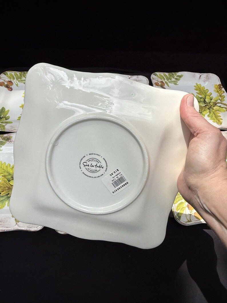 10 Sur La Table Acorn & Fig 9.5" Salad Plates made in Italy Fall Theme Mint! image 19