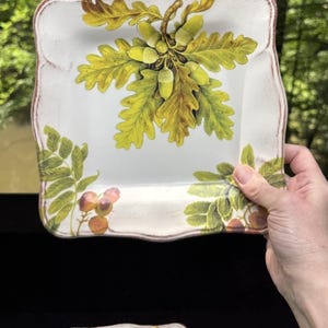 10 Sur La Table Acorn & Fig 9.5" Salad Plates made in Italy Fall Theme Mint! image 6